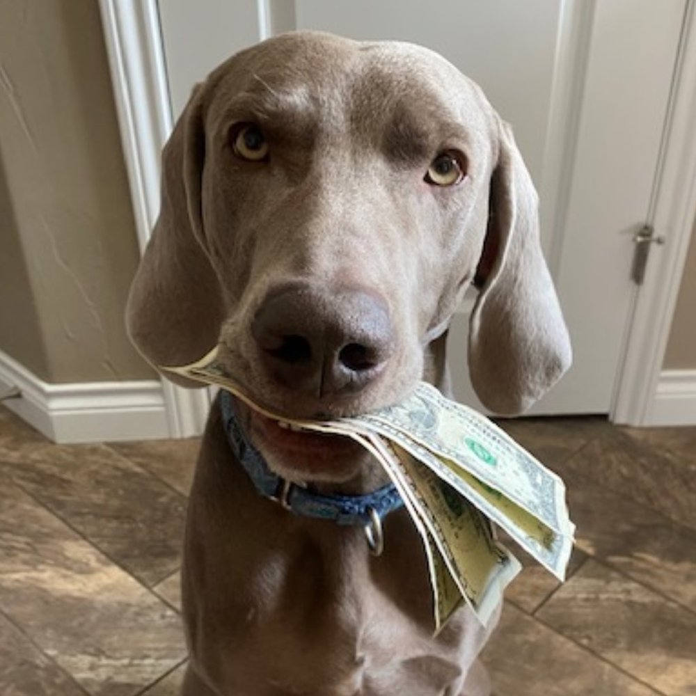 Make Me an Offer I Can't Refuse